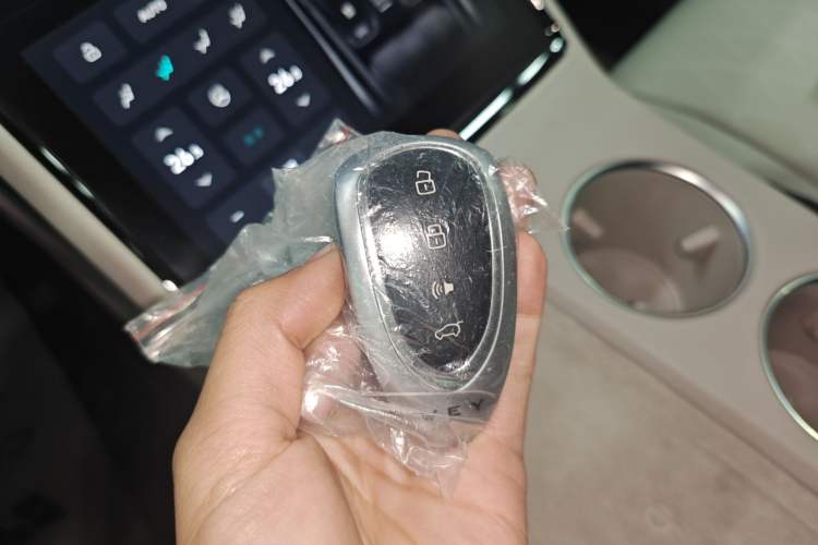 Used Wey Mocha New Energy 2024 Hi4 Four-Wheel Drive Long-Range Version