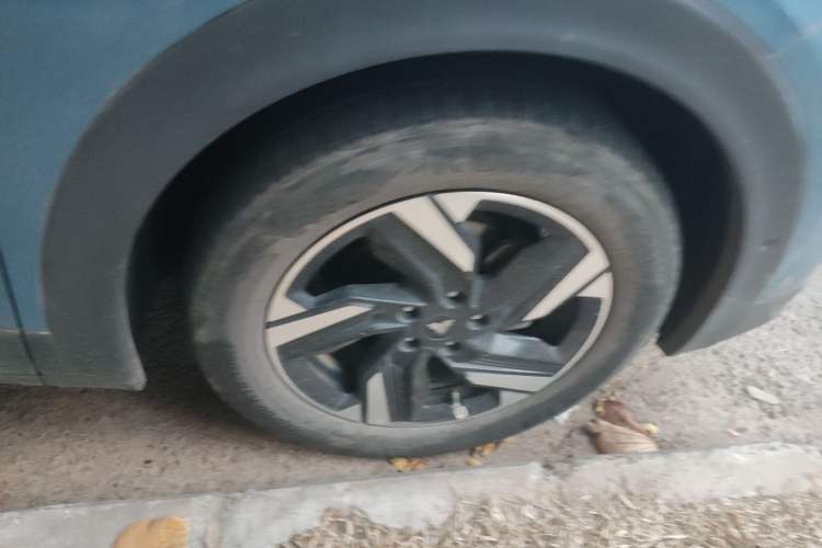 Used NETA X 2023 500