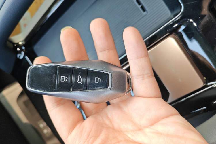 Used  03 2024 472km Four-Wheel Drive Long-Range Intelligent Advanced Version
