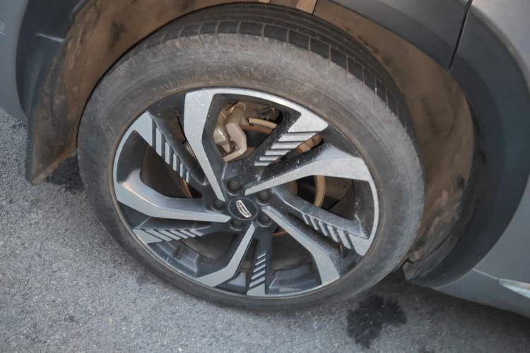 Used Geely Auto Monjaro L 2021 2.0TD DCT EVO Two-Wheel Drive Smart Luxury Version
