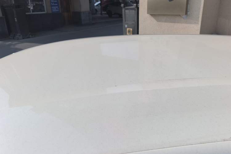 Used BYD Dolphin 2025 420km Free Edition