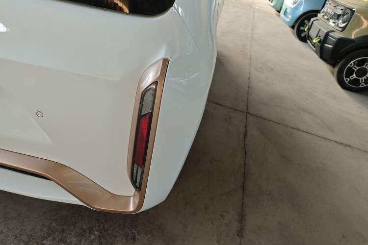 Used ORA White Cat 2022 Xiaoyue Mao Edition 360 km Luxury Model Lithium NMC
