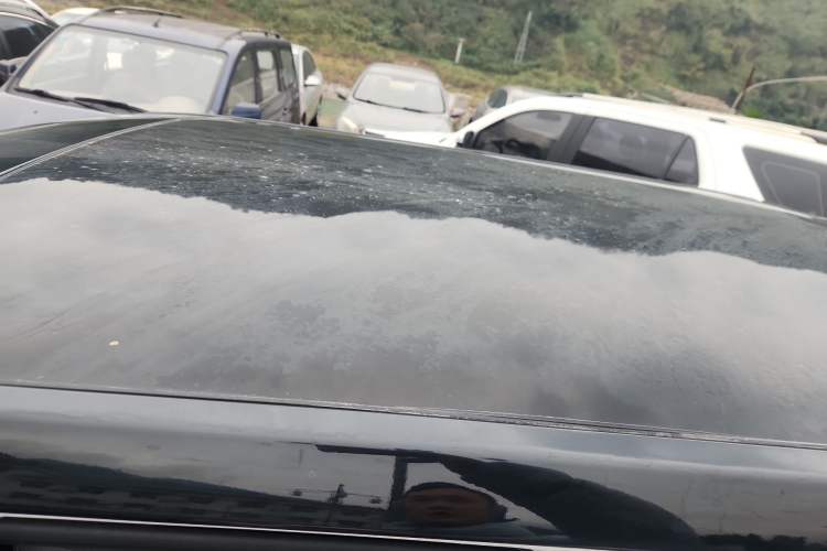 Used  Panda 2023 Panda Mini 200km Dynamic Bear
