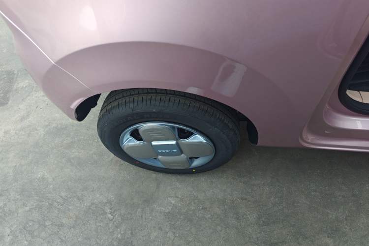 Used  Panda 2024 Panda Mini 200km Endurance Bear
