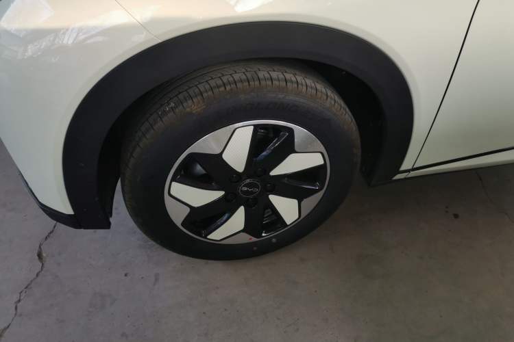 Used BYD Dolphin 2025 420km Free Edition
