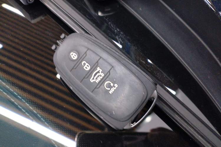 Used Hongqi H9 2022 2.0T Smart Connect Flagship Edition
