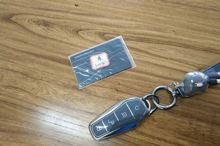 Used BYD Qin PLUS 2024 HONOR Edition DM-i 55KM Leading Model
