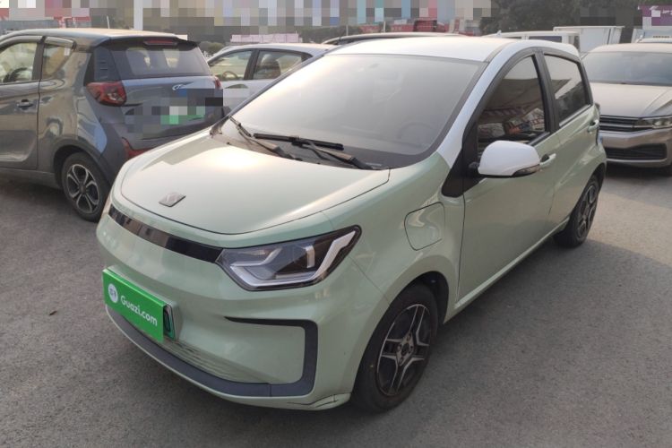 Used SOL E10X 2022 Flower Fairy Design Four-Leaf Clover
