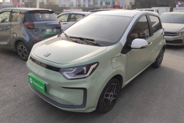 Used SOL E10X 2022 Flower Fairy Design Four-Leaf Clover