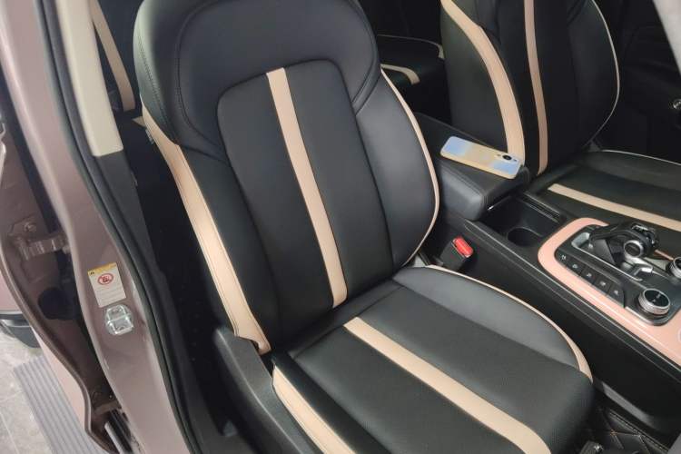 Used Tank 300 2021 City Edition 2.0T My Vision Model
