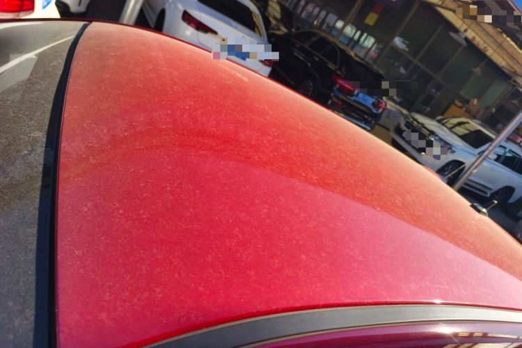 Used ORA Black Cat 2021 301 km Basic Version