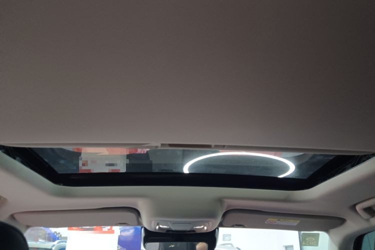 Used Tank 300 2021 Off-Road Edition 2.0T Conqueror
