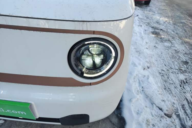 Used  Panda 2025 210 km – Yuanqi Bear
