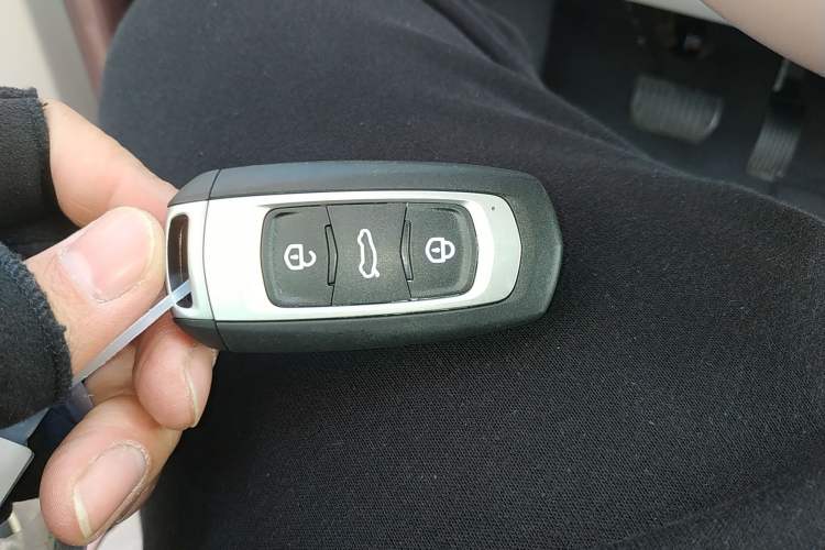 Used  Panda 2025 210 km – Yuanqi Bear
