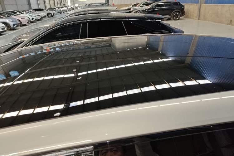 Used  S05 2024 510 Plus Pure Electric Version
