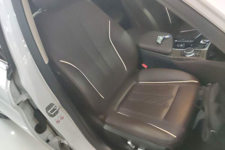 Used BMW 5 Series New Energy 2020 Mileage Upgrade Version 530Le Luxury Package
