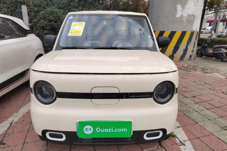 Used  Panda 2025 210 km – Yuanqi Bear
