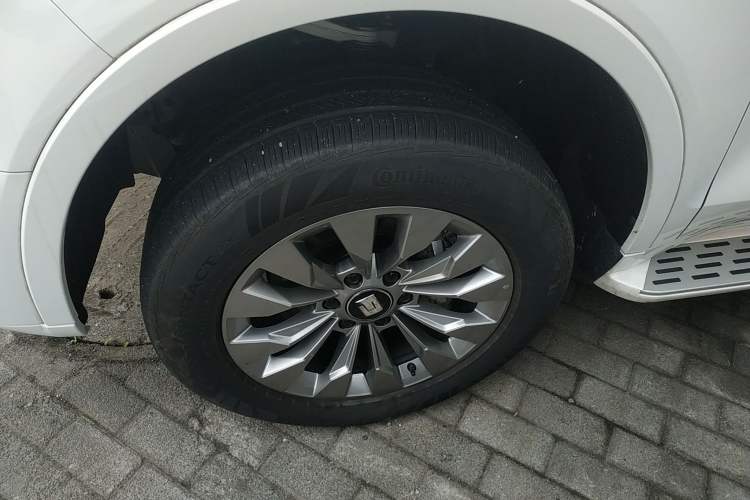 Used Tank 500 New Energy 2025 Hi4-Z
