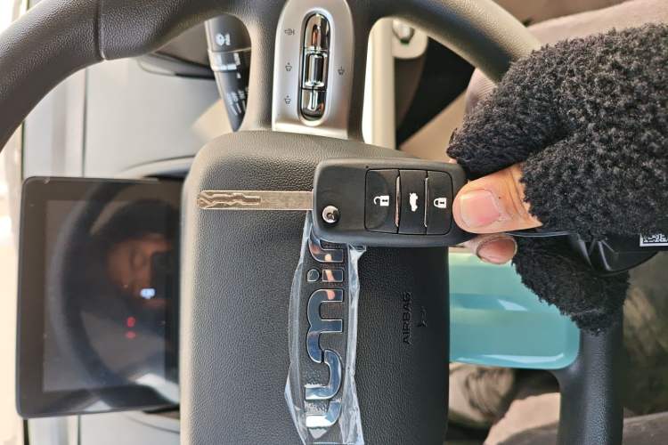 Used  Lumin 2025 205 km Xiangqin Version
