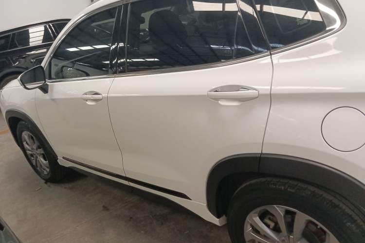 Used  Zhuifeng 2020 Chasing the Waves Edition 1.5T CVT Starry Edition
