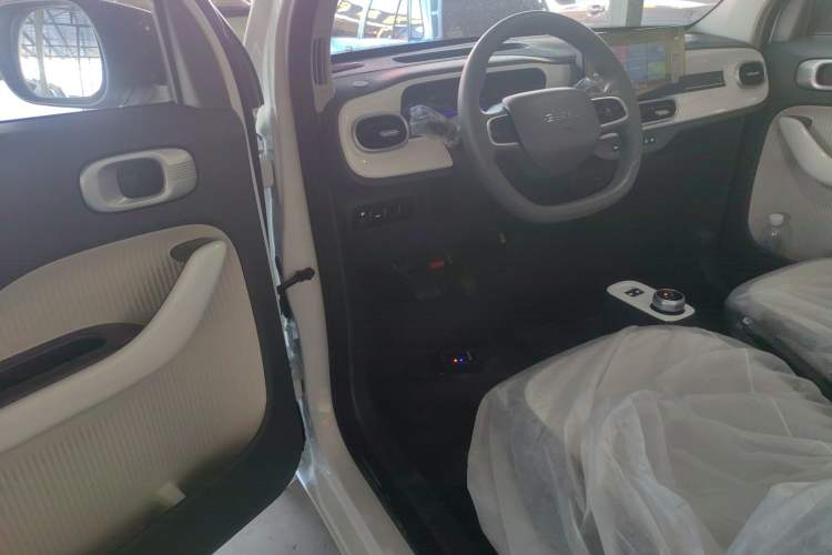 Used  Panda 2025 210 km – Yuanqi Bear
