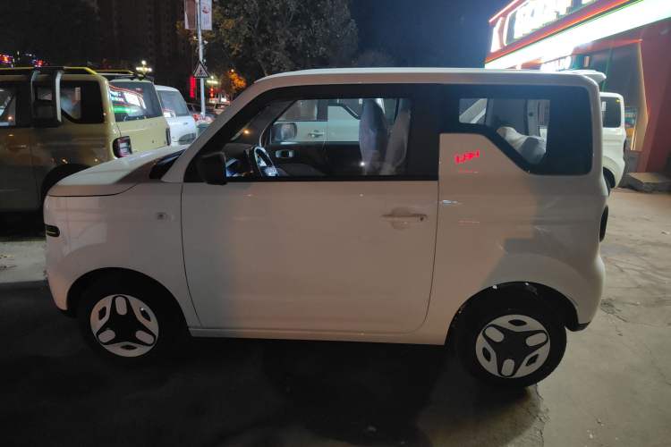 Used  Panda 2025 210 km – Yuanqi Bear
