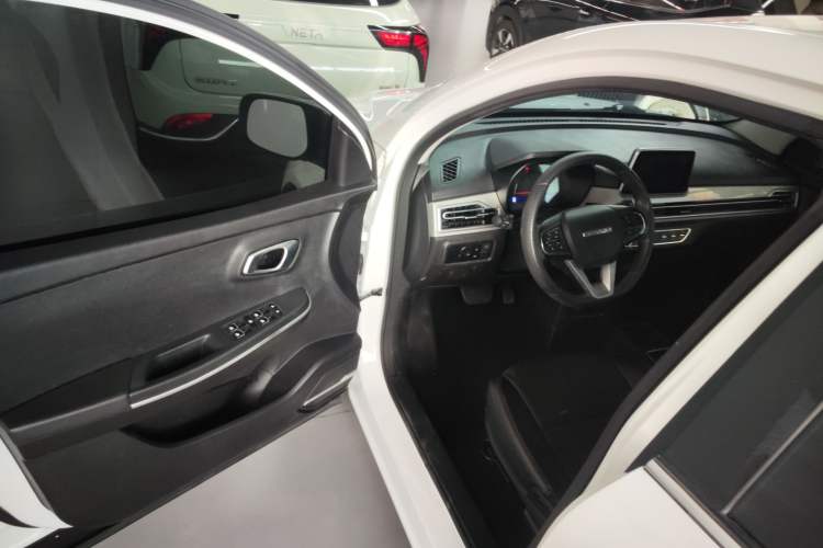 Used Dayun Yuehu 2022 30.66 kWh Two-Wheel Drive Standard Version
