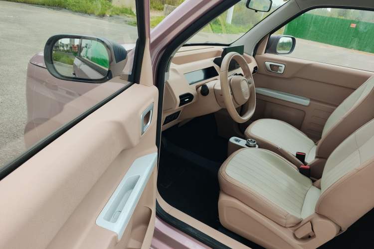 Used  Panda 2024 Panda Mini 200km Longteng PRO Edition
