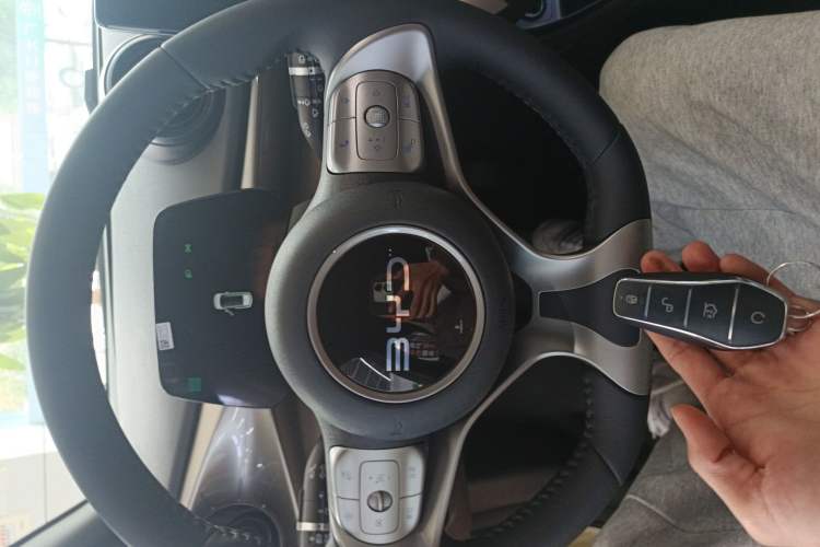 Used BYD Dolphin 2025 420km Free Edition
