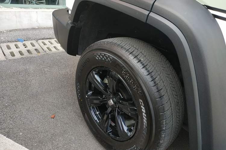 Used Tank 300 2023 Off-Road Edition 2.0T Conqueror
