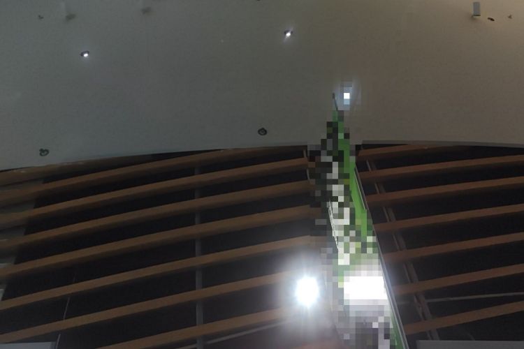 Used Tesla Model Y 2025 Rear-Wheel Drive First Edition