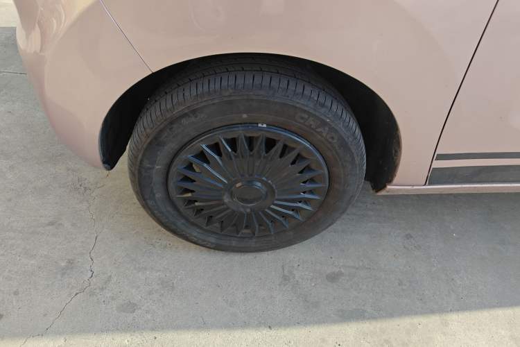 Used  Panda 2023 Panda Mini 200km Endurance Bear
