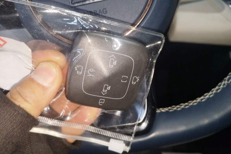 Used Zeekr 009 2022 Revised WE Version