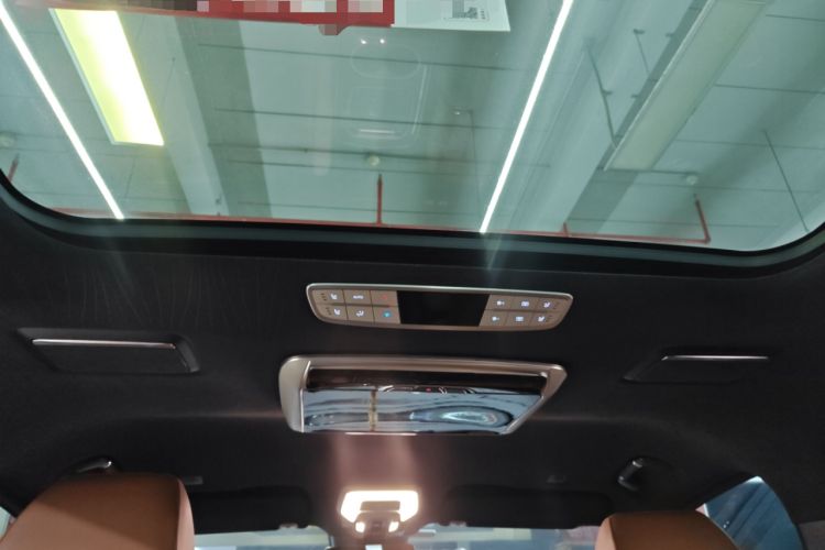 Used Hongqi HQ9 2023 2.0T Smart Connect Flagship Edition