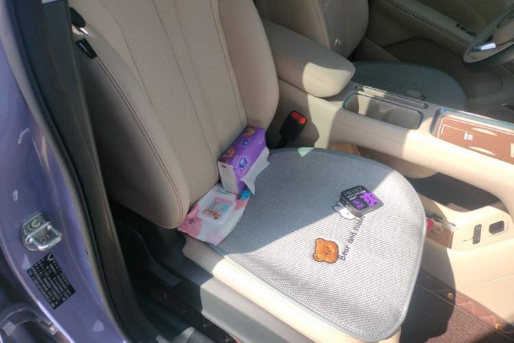 Used Wuling Bingo S 2025 Model 430km Flagship Edition