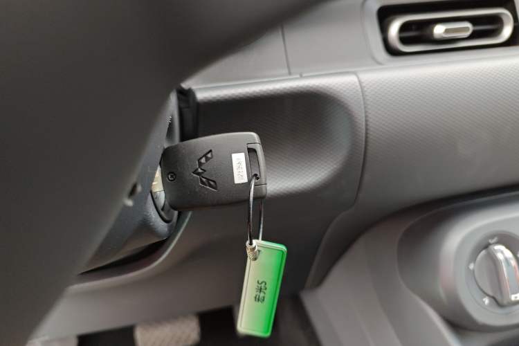 Used Wuling Hongguang New Energy 2024 All-Electric Model 300KM Standard Version
