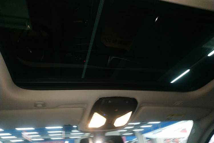 Used BMW 5 Series New Energy 2020 530Le Luxury Package
