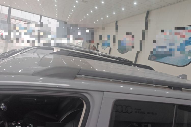 Used Tank 300 2021 Off-Road Edition 2.0T Conqueror
