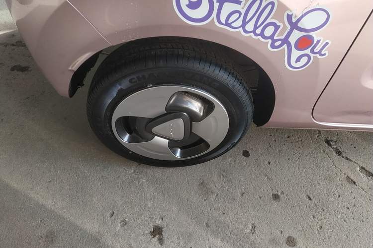 Used  Panda 2023 Panda Mini 200km Dynamic Bear