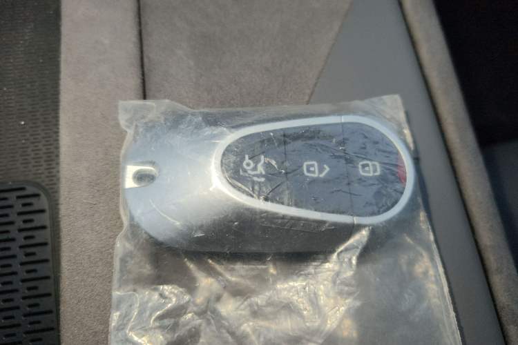 Used VOYAH PASSION 2023 Four-Wheel Drive Long-Range Version
