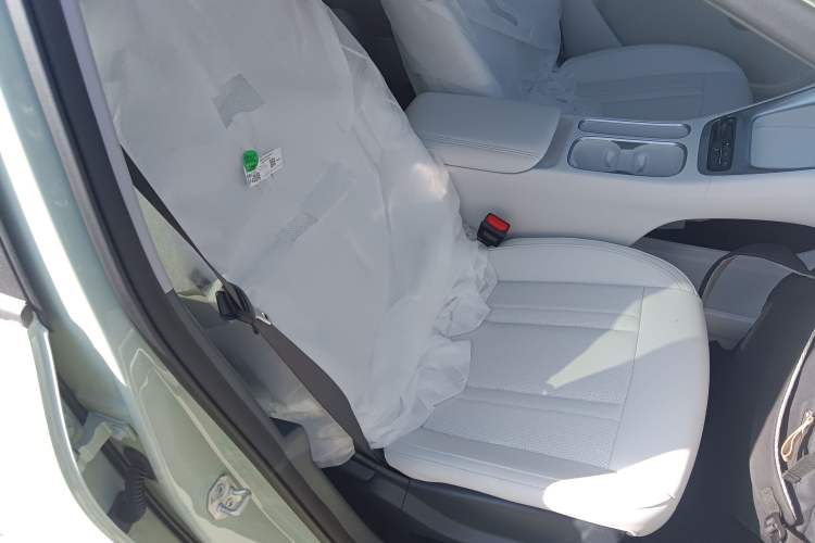 Used  Geome 2025 310km Youth Edition