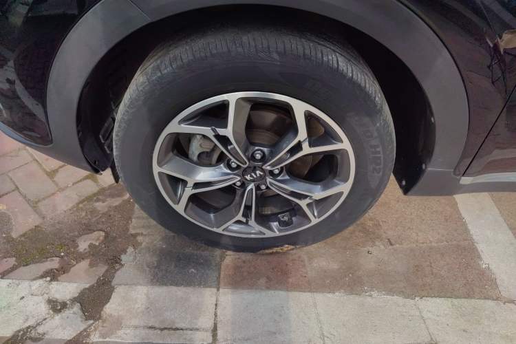 Used Kia KX5 2019 2.0L Automatic 2WD Comfort Edition
