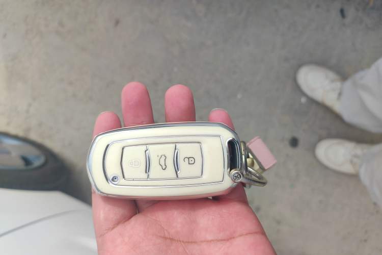 Used  Panda 2024 Panda Mini 200km Endurance Bear
