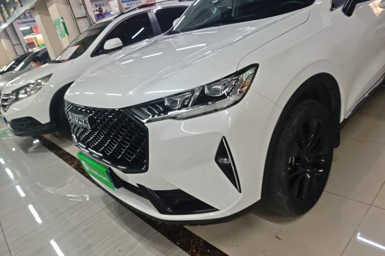 Used Haval H6 2021 3rd Generation 2.0T Automatic Two-Wheel Drive Max