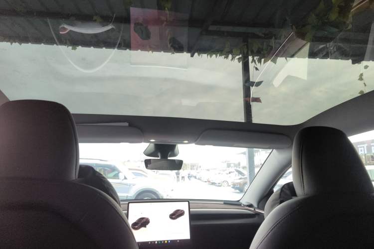 Used Tesla Model Y 2025 Updated Version Long-Range All-Wheel Drive
