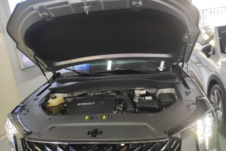 Used GAC Trumpchi GS8 2022 Linghang Series 2.0 TGDI Two-Wheel-Drive Luxury Smart Connectivity Version (7 Seats)
