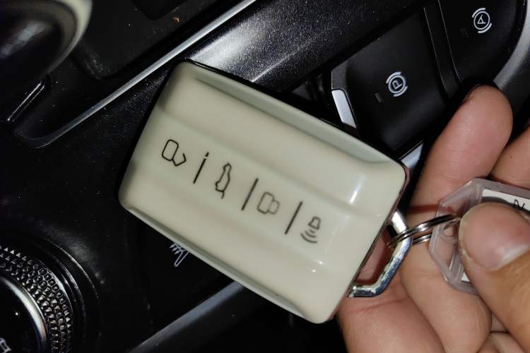 Used Tank 300 2021 City Edition 2.0T—Truly Stylish