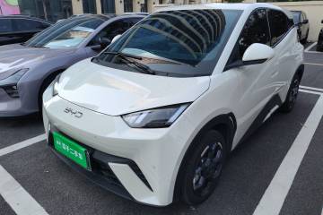 Used BYD Seagull 2024 Honor Edition 305km Freedom Version
