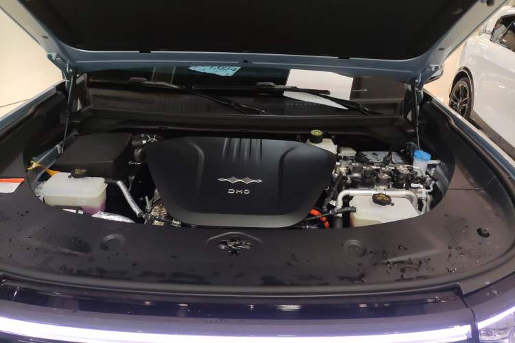 Used  Leopard 8 2025 Smart & Brave Flagship Edition 6 Seats
