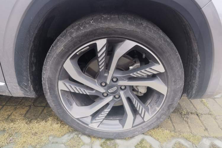 Used Geely Auto Monjaro L 2024 2.0TD High-Power Automatic Two-Wheel Drive Skyline Edition